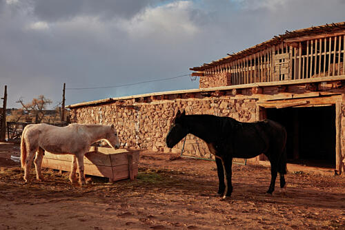 Horses in a Corral at the Hubbell Trading Post, Navajo Nation Land in Far-Northeast Arizona Art Print