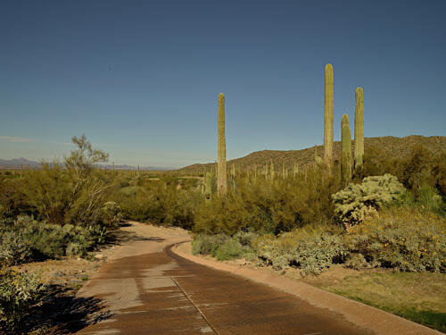 The Golf Club at Dove Mountain in the Town of Marana, North of Tucson, Arizona Art Print