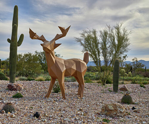 Steel Deer Family in the Town of Marana, North of Tucson, Arizona I Art Print