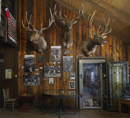 Trophy Heads and Photographic Mementos Inside the Mormon Lake Lodge in Arizona Art Print