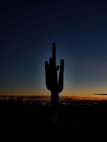 Sunset View of a Saguaro Cactus at Frank Lloyd Wrights Taliesin West, in Scottsdale, Arizona Art Print