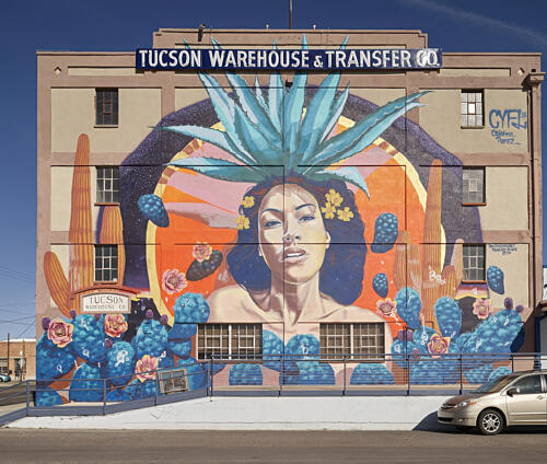 The Goddess of Agave Mural, Arizona, Mural Arts Program, Tucson Art Print
