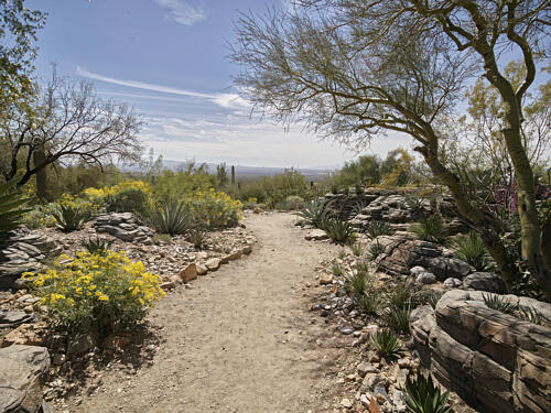 Scene in the Arizona-Sonora Desert Museum Outside Tucson, Arizona II Art Print