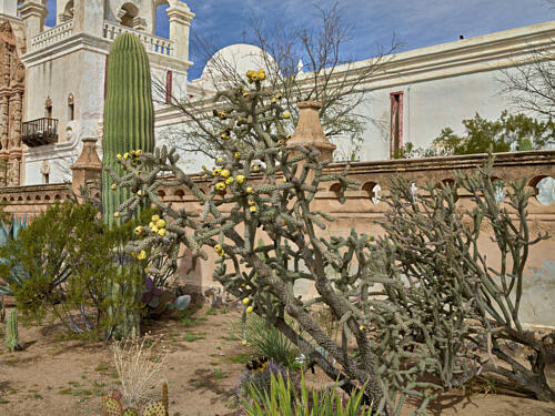 Cactus Garden at the Mission San Xavier del Bac, a Spanish Catholic Mission, Tucson, Arizona Art Print