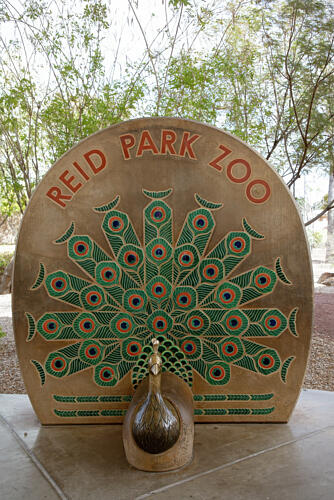 The Pavo Cristatus Sculpture at the Reid Park Zoo, Tucson, Arizona Art Print