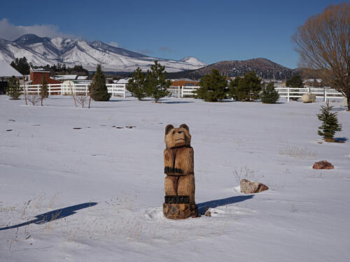 A Carved Bear Outside Winona, Arizona Art Print