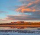 Crane Pool at Bosque del Apache NWR -NM Art Print