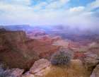 Moran Point-South Rim-Grand Canyon National Park-Arizona Art Print