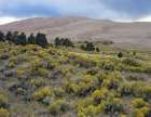 Great Sand Dunes National Park-Colorado Art Print