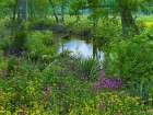 Big Thicket National Preserve-Lance Rosier-Texas Art Print