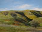 La Panza Range in Spring-Califonia Art Print