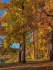 Tyler Lake State Park-Texas Art Print