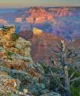 Desert View Overlook-Grand Canyon National Park-Arizona-USA Art Print