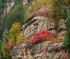 Oak Creek Canyon near Sedona-Arizona Art Print