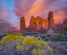 Parade of the Elephants Sandstone Formation-Arches National Park-Utah Art Print