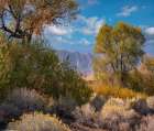 Sierra Nevada-Owens Valley-California-USA Art Print