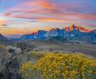 Sierra Nevada from Owens Valley-California-USA Art Print