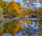 Verde River near Camp Verde-Arizona-USA Art Print