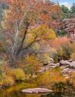 East Verde River-Arizona-USA Art Print
