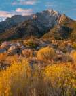 Lone Pine Peak-Eastern Sierra-California-USA Art Print