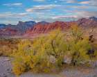 Spring Mountains-Red Rock Canyon National Conservation Area-Nevada Art Print