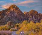 Willows and Wash-Red Rock Canyon-Nevada Art Print