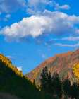White River National Forest Art Print