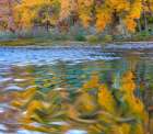 Ripples in the Rio Grande Art Print