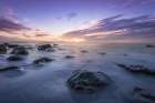 Calm Morning Art Print
