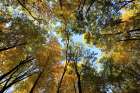 Fall at Devils Lake State Park in Wisconsin Art Print