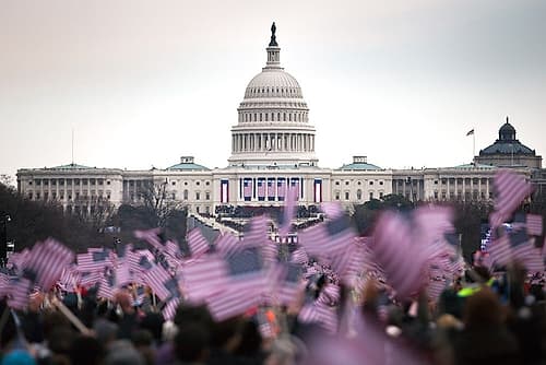 Flags at the National Mall Art Print