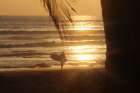 Sunset Surfer Coastal Print