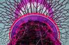 Supertree Grove, Singapore Art Print