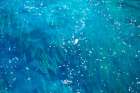 The Color of Water III Art Print