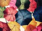 Umbrella Array Art Print