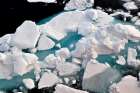 Arctic Ocean Ice Flow Coastal Print