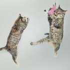Cat Party Art Print