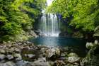 Cheonjiyeon Waterfall in the Jeju island, Korea Art Print
