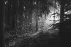 Last Light Art Print
