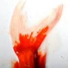 Red Koi Tail Art Print