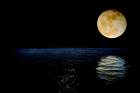 Reflecting the Moon Art Print