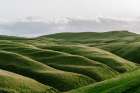 The Rolling Hills Art Print