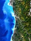 Redwood National Park from Space Art Print