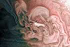 Rose-Colored Jupiter Art Print