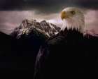 Eagle Mountain Art Print