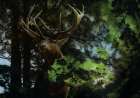 Elkish Twilight Art Print