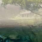 Lake Front Pondering Art Print