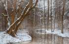 Winter Creek Art Print