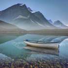 Aquatic Pondering I Art Print