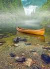 Aquatic Pondering VI Art Print